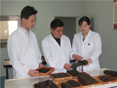 傳承茯茶非遺技藝、開(kāi)拓創(chuàng)新引領(lǐng)行業(yè)發(fā)展