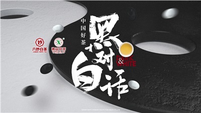 首屆黑白對(duì)話高峰論壇圓滿落幕！湘益茯茶備受關(guān)注！