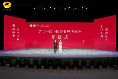 【聚焦第二十屆中國茶業(yè)經(jīng)濟年會】益陽茶廠榮獲“民族團結(jié)互助企業(yè)”、“2024年度茶業(yè)重點企業(yè)”榮譽稱號